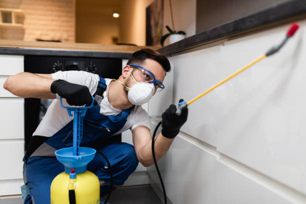 Pest Prevention Services in Manville, NJ