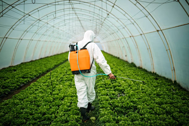 Best Affordable Pest Control Services  in Manville, NJ