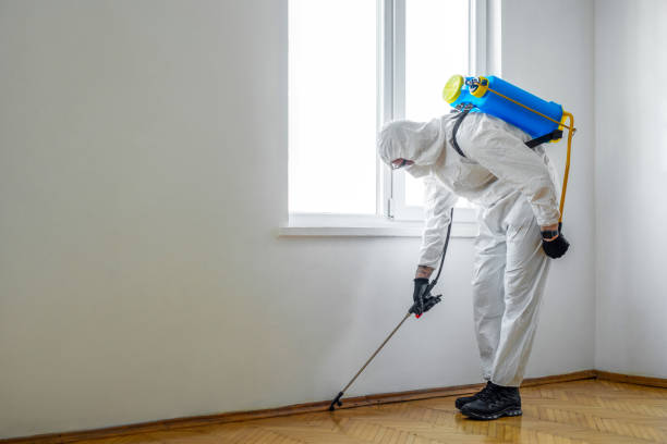 Best Cockroach Control Services  in Manville, NJ